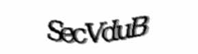 Security check image, please type the characters shown